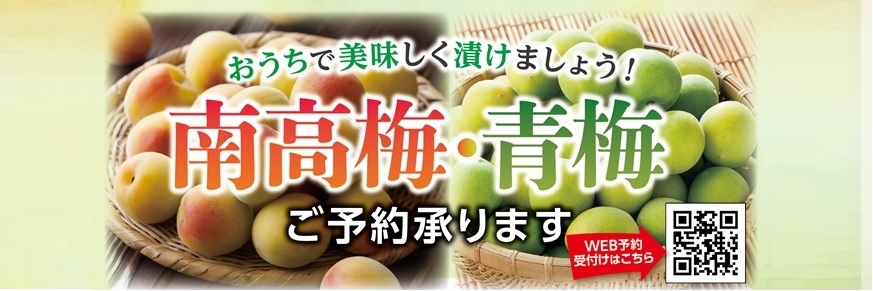梅・らっきょう