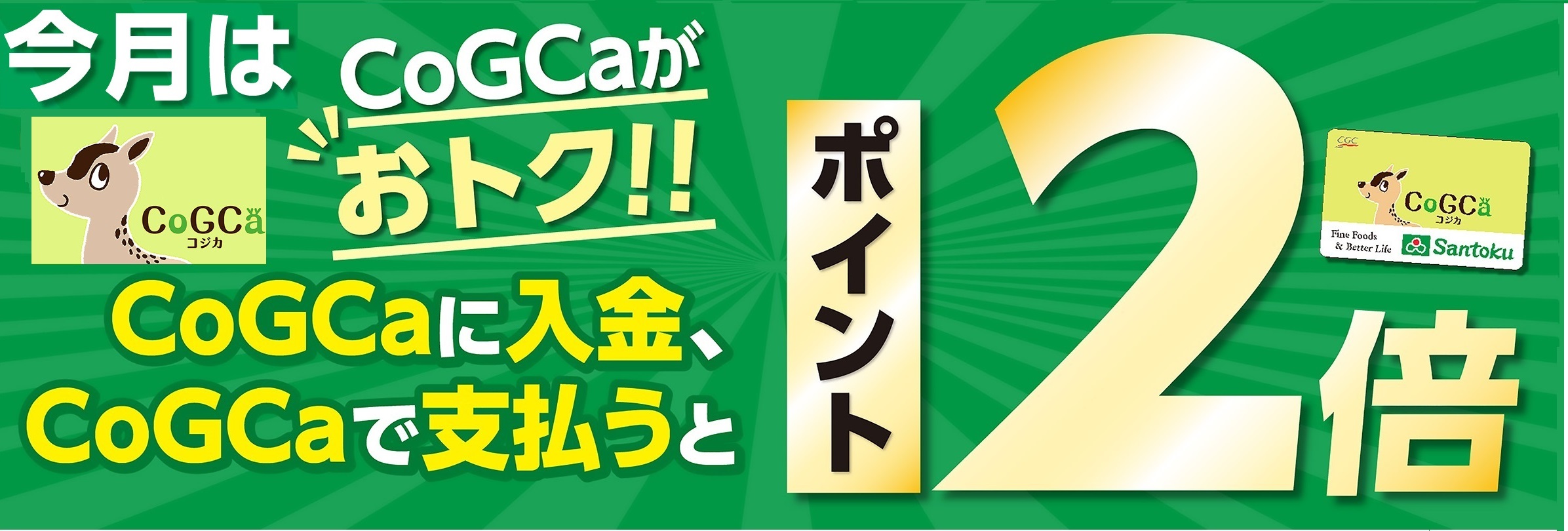 コジカ支払ポイント2倍