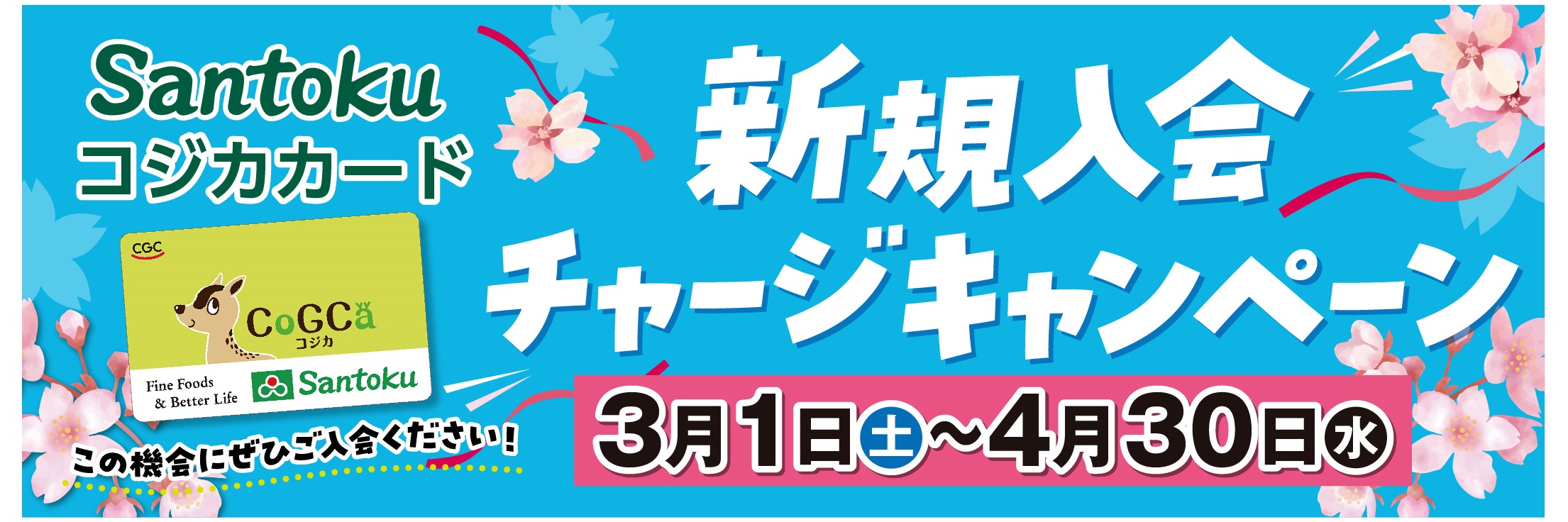 コジカ入会キャンペーン2025/3/1～2025/4/30