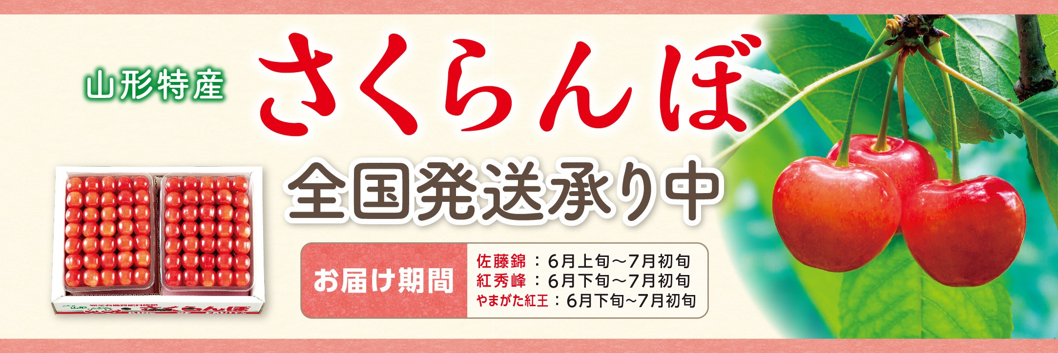 さくらんぼギフト