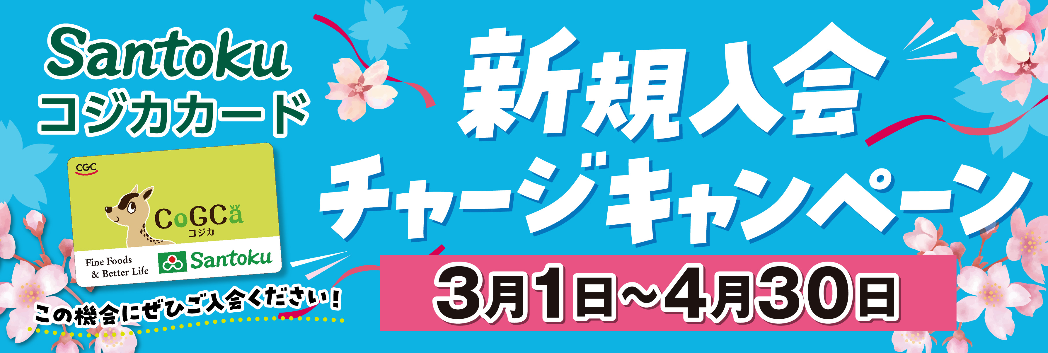 コジカ新規入会キャンペーン